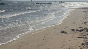 A sandy beach with footprints leading to the water, a clear sky, and a calm sea. - Mystic Island Lagoon Front Escape with Private Dock and Hot Tub ⚓️☀️ (Little Egg Harbor Township)