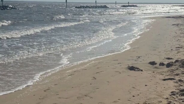 Une plage de sable avec des empreintes menant à l’eau, un ciel dégagé et une mer calme.