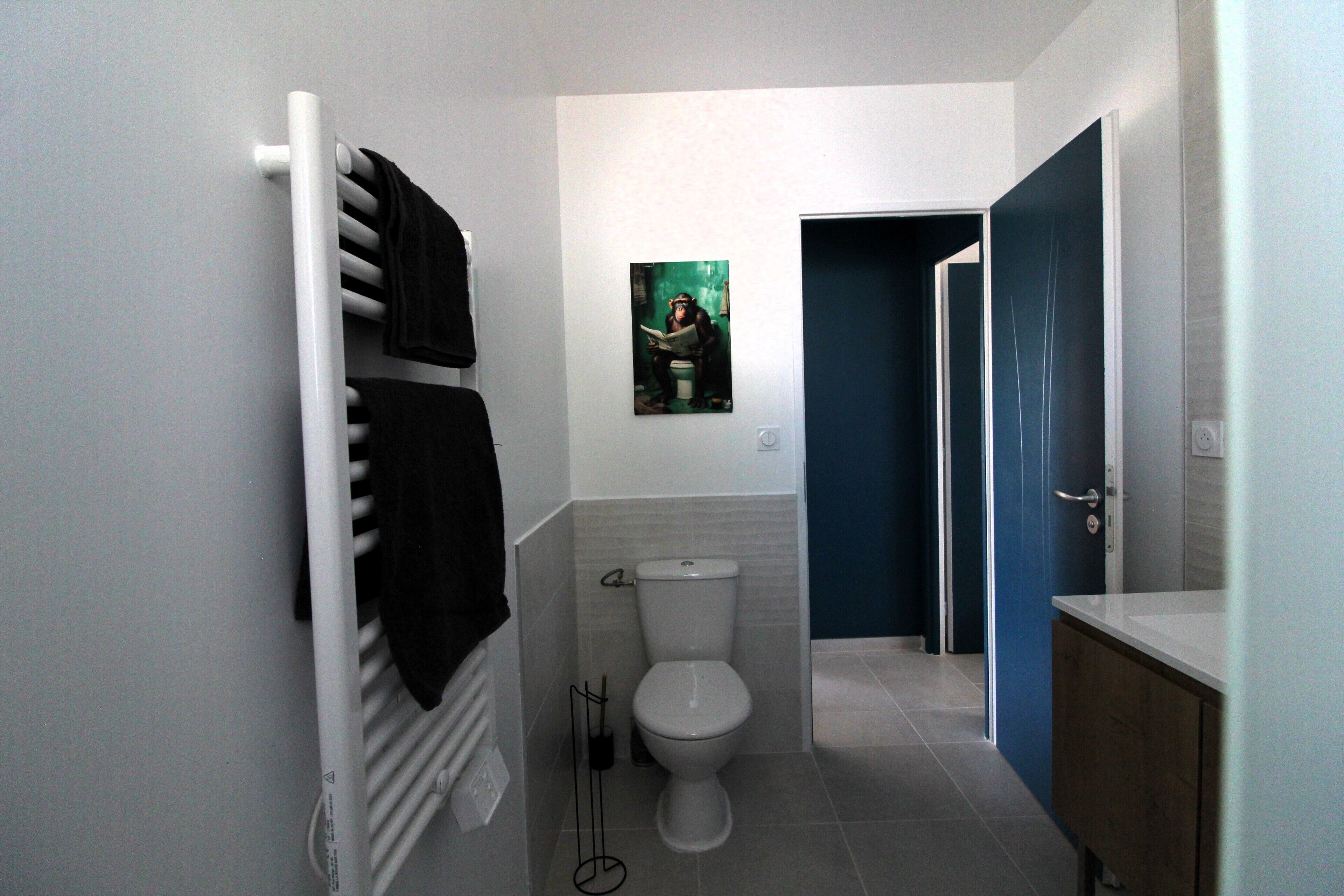 A bathroom with a white toilet, a towel rack with towels, a picture on the wall, and a blue door.