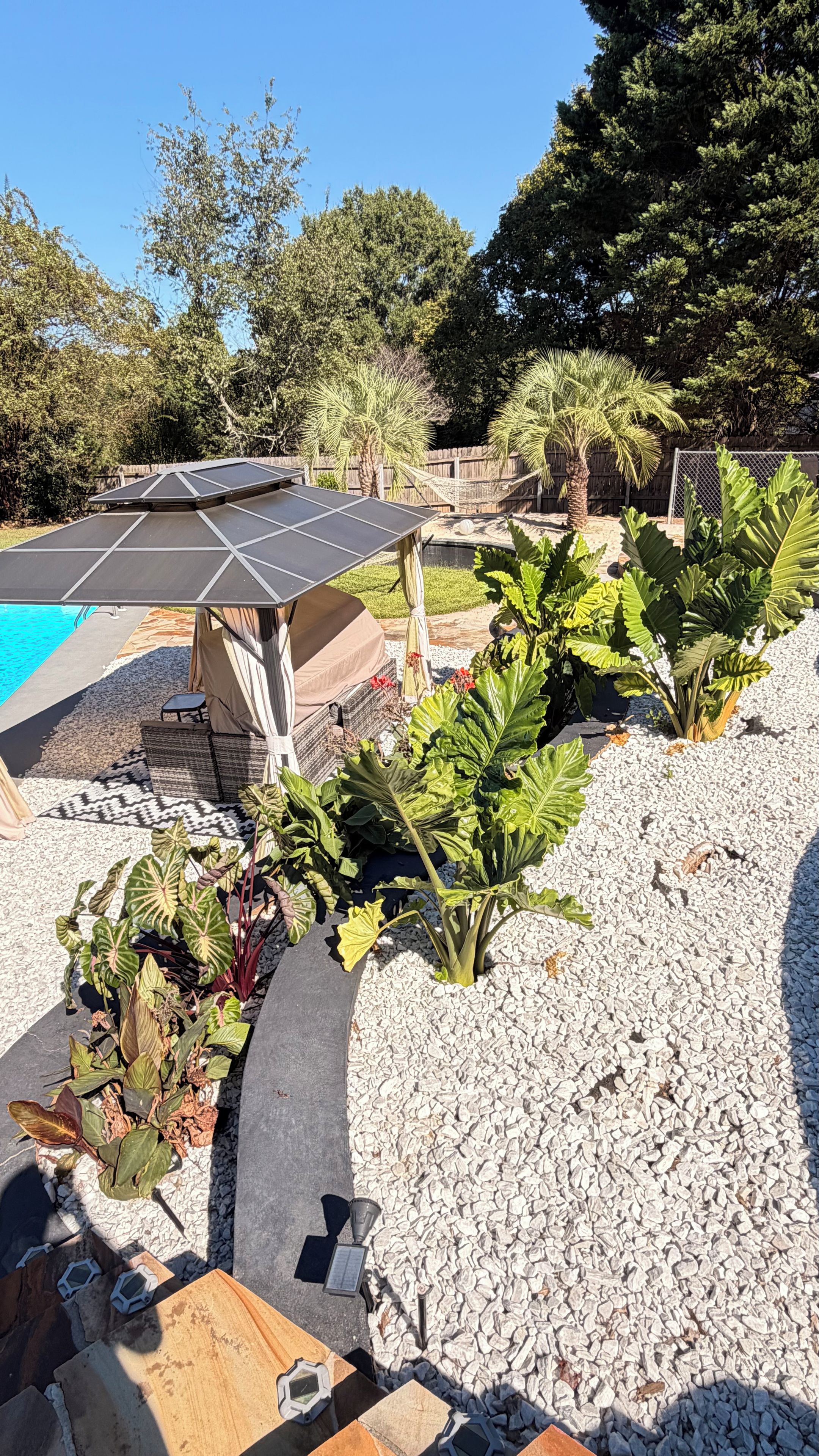 A poolside area with a pergola, seating, and a variety of plants.