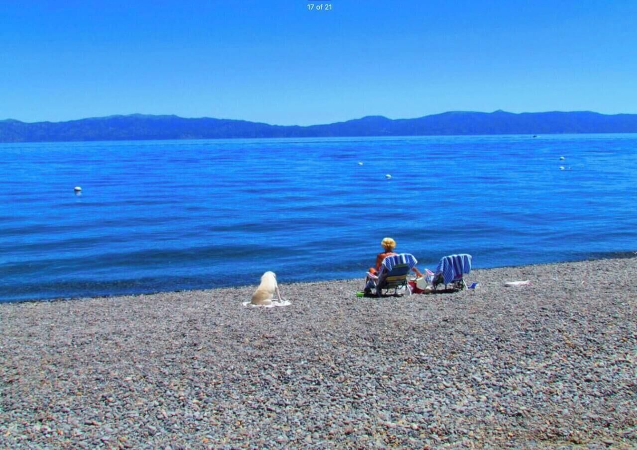 Ein Kiesstrand mit einer Person im Rollstuhl und einem Hund.