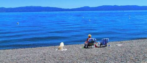 Ein Kiesstrand mit einer Person im Rollstuhl und einem Hund.
