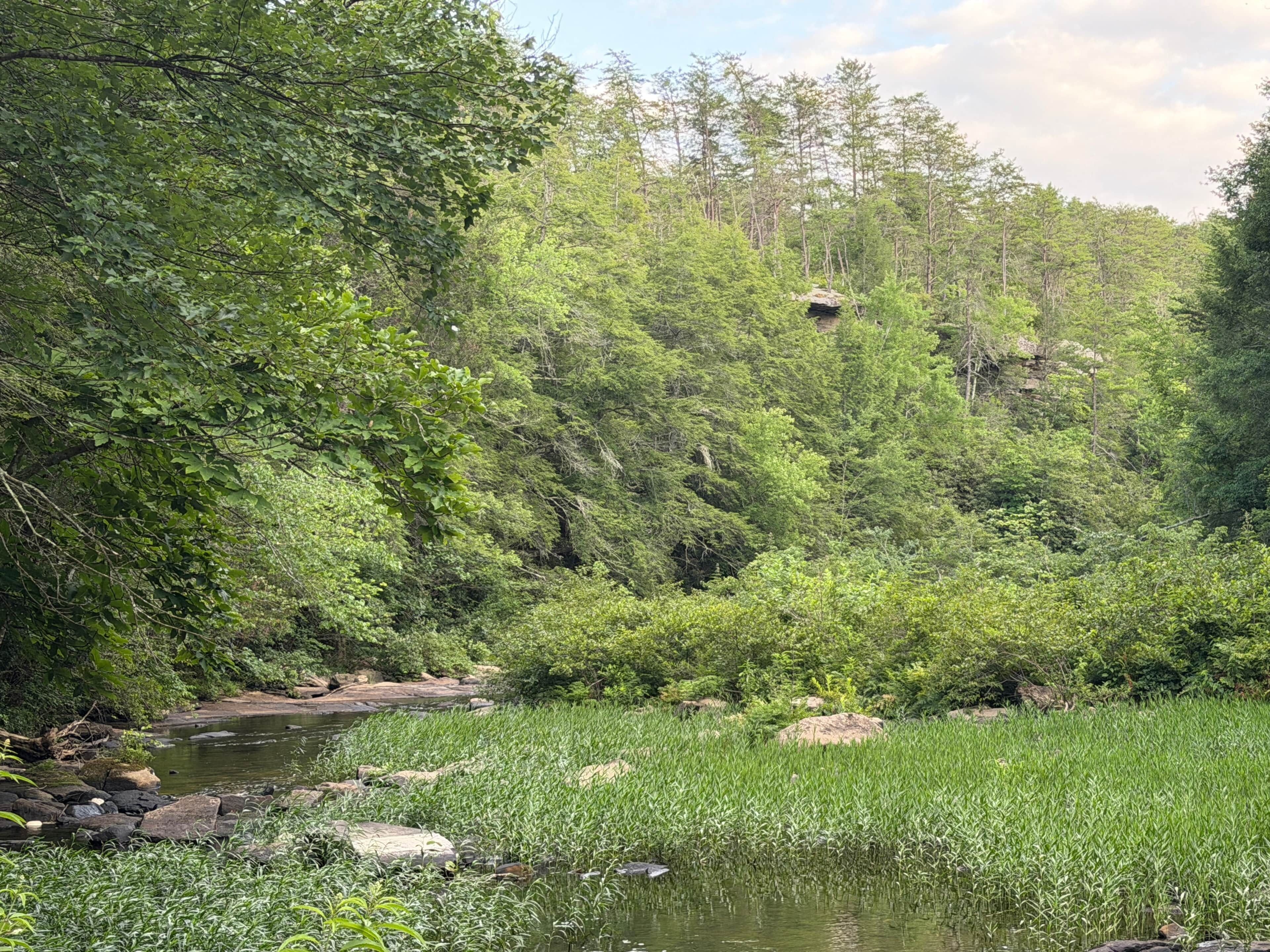 A natural landscape with a river, dense greenery, and a rocky outcrop.