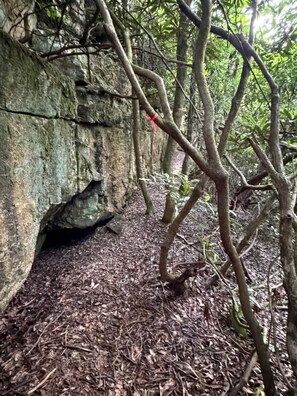 A natural rock formation with a cave entrance, surrounded by dense foliage and a forest floor covered with leaves. - Stagecoach Saloon Riverside cabin with stone pizza oven (Cumberland County)