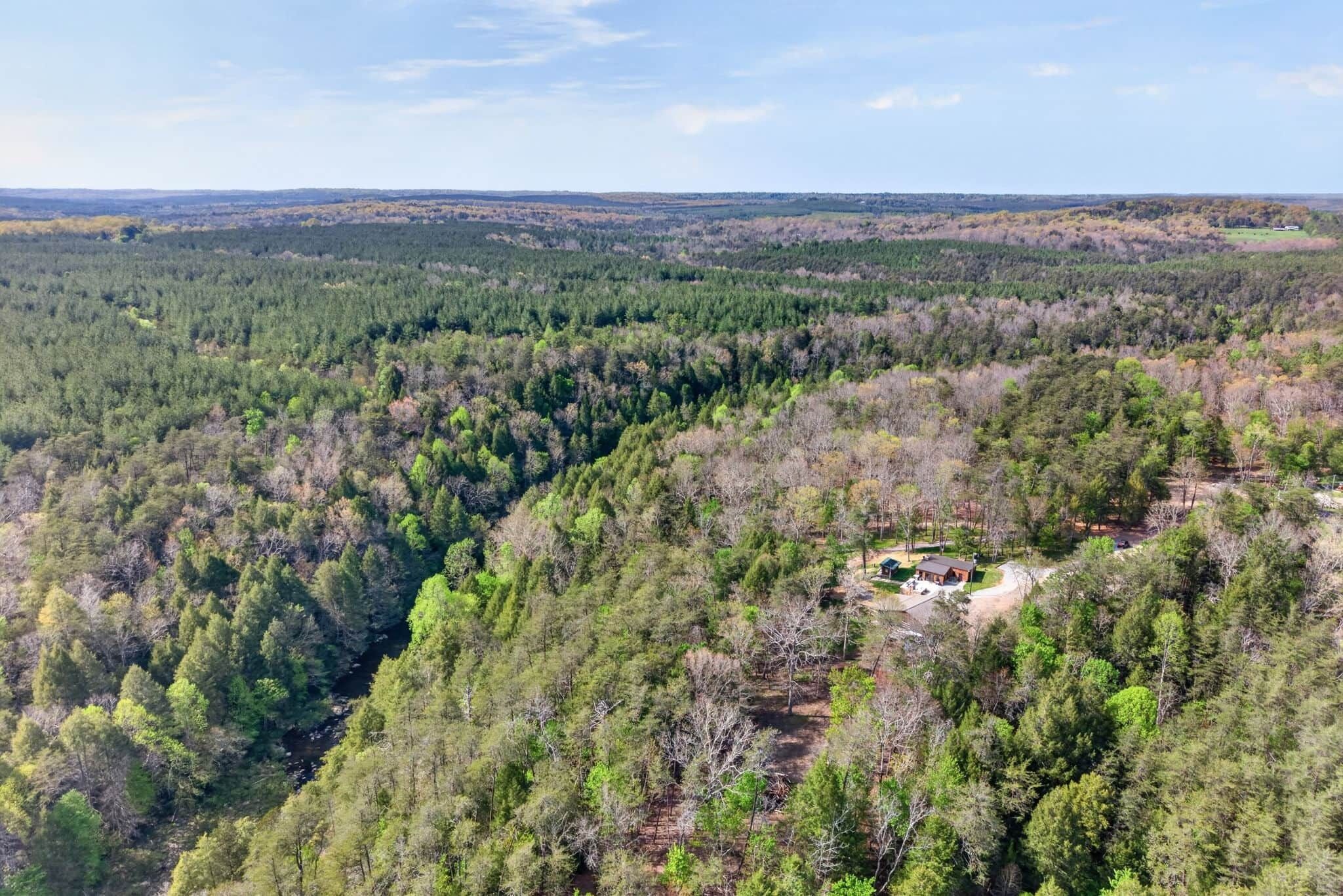 A forested area with a cabin and a small clearing.