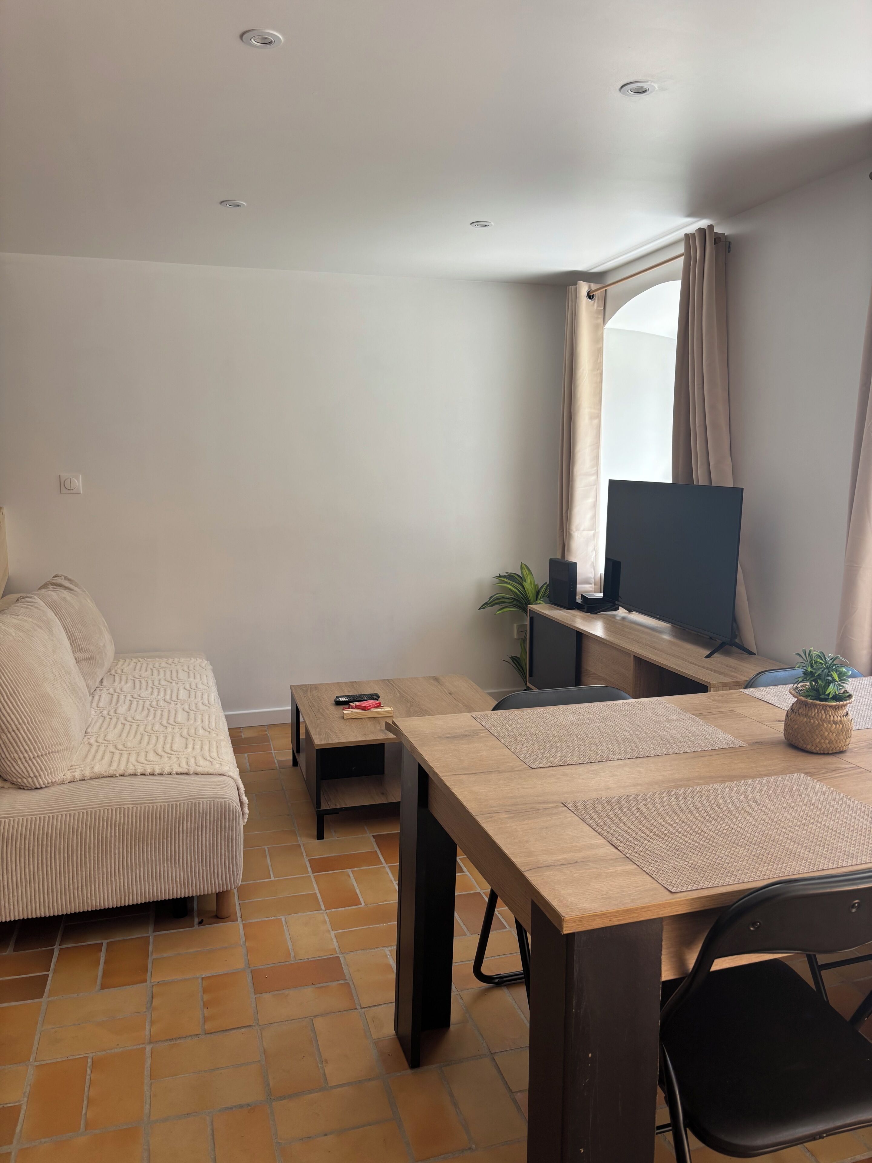 A modern living room with a sofa, a wooden dining table, a TV, and a potted plant.