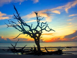 A tree silhouette against a sunset sky. - Pecan Pointe Cottage - Pet Friendly (Brunswick)