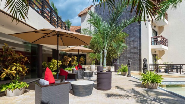 Un espace extérieur aménagé en terrasse, avec des sièges, des parasols et des plantes en pot.