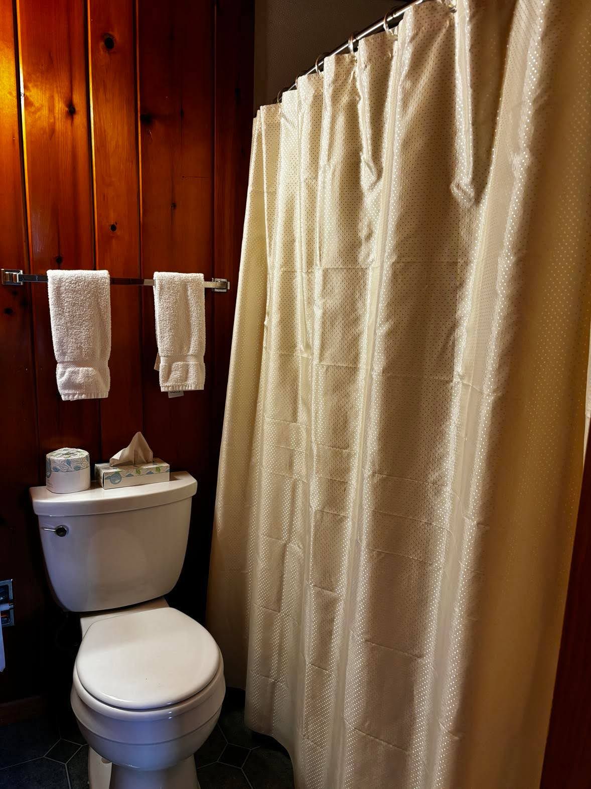 Ein Badezimmer mit Toilette, einer Duschvorhang und zwei Handtüchern, die auf einem Wäscheständer hängen.