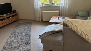 Ein Wohnzimmer mit einer Couch, einem Fernseher auf einem Holzboden, einem Heizkörper, einem Fenster mit Vorhängen und einem Teppich.