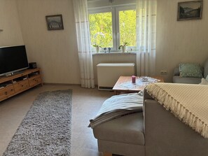 A living room with a sofa, a television on a wooden stand, a radiator, a window with curtains, and a rug. - Renovated farmhouse perfect for nature lovers and photo enthusiasts (Reurieth)