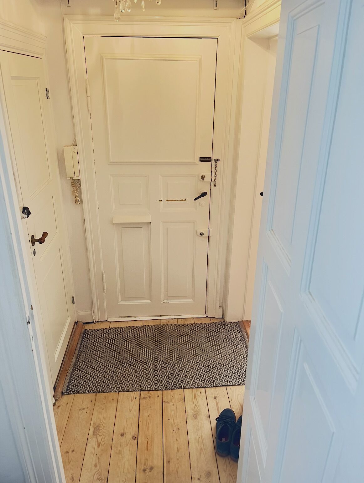 A hallway with a white door, a doormat, and a pair of shoes on the floor.