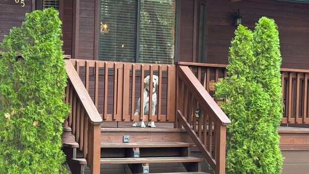 A wooden staircase leading to a house with a dog sitting on the steps. - Adorable 3-bedroom cabin in Pinetop Country Club, newly renovated. Pets Welcome! (Pinetop Country Club)