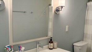 A bathroom with a white sink, a mirror, a toilet, and a shower curtain. - Casa Sul Lago Spacious 5-bedroom house in charming Delavan w/AC Firepit Deck (Delavan)