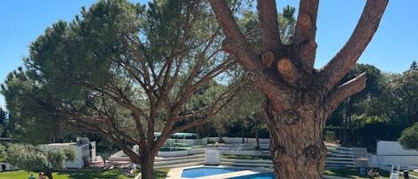A swimming pool area with steps leading to the water, surrounded by trees and a grassy area.