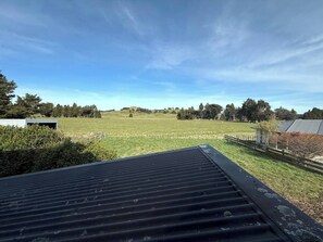 Blick von einer überdachten Außenbereich mit Metalldach, einer Wiese und Bäumen im Hintergrund.