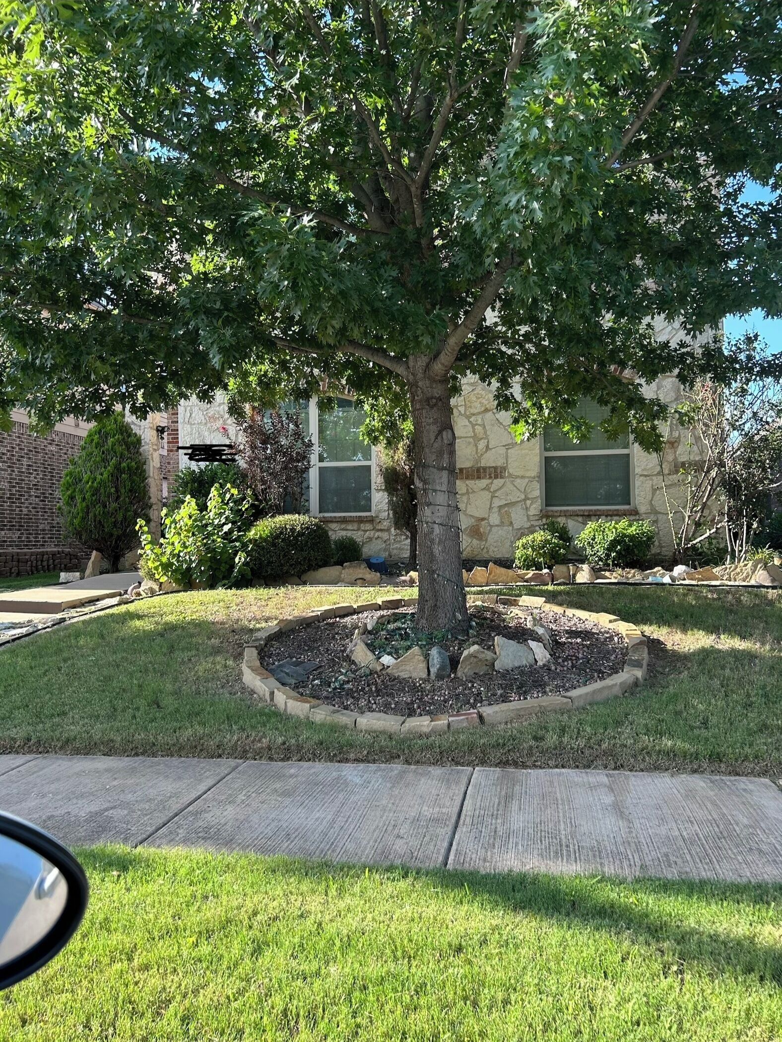 A tree in a landscaped area with a stone building in the background.