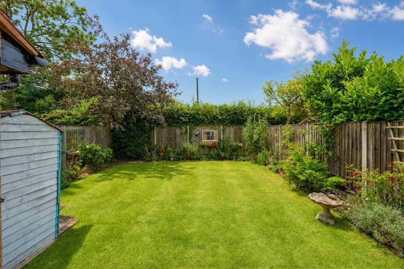 A well-maintained backyard with a wooden fence, a shed, and a variety of plants.
