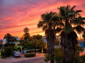 A residential street with palm trees, houses, and a car. - Old City Marsh View Retreat Pets Welcome (St. Augustine)