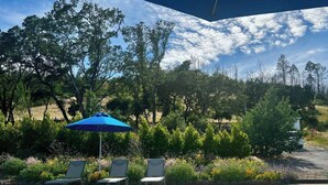 Piscina com espreguiçadeiras e um guarda-sol azul, cercada por vegetação e árvores.