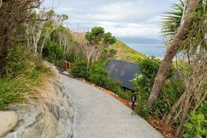 A pathway leading to a house with a sloped roof, surrounded by dense greenery and overlooking a body of water.