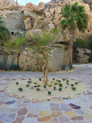 Zona ajardinada con un árbol central, rodeada de cactus y rocas.