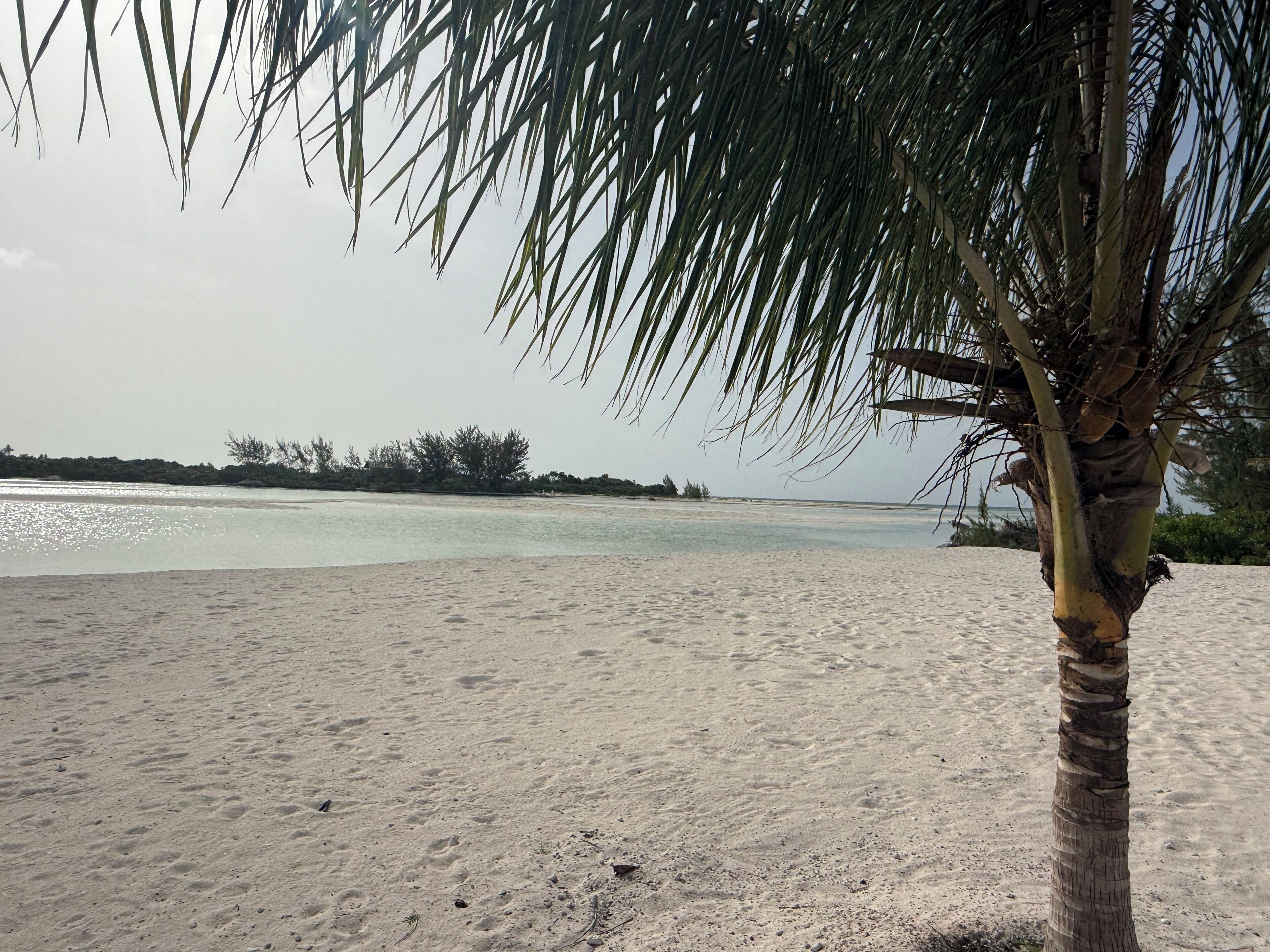 On the beach, sun loungers, beach towels
