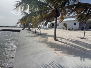 Propiedad frente al mar con paseo marítimo de concreto, palmeras y un edificio blanco.