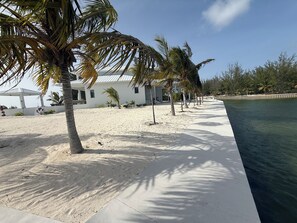 Ein Strandgrundstück mit sandigem Weg, Palmen und freiem Blick auf den Ozean.