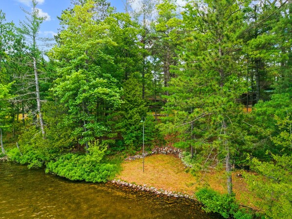 A forested area with a clear stream, surrounded by dense trees and a stone pathway.