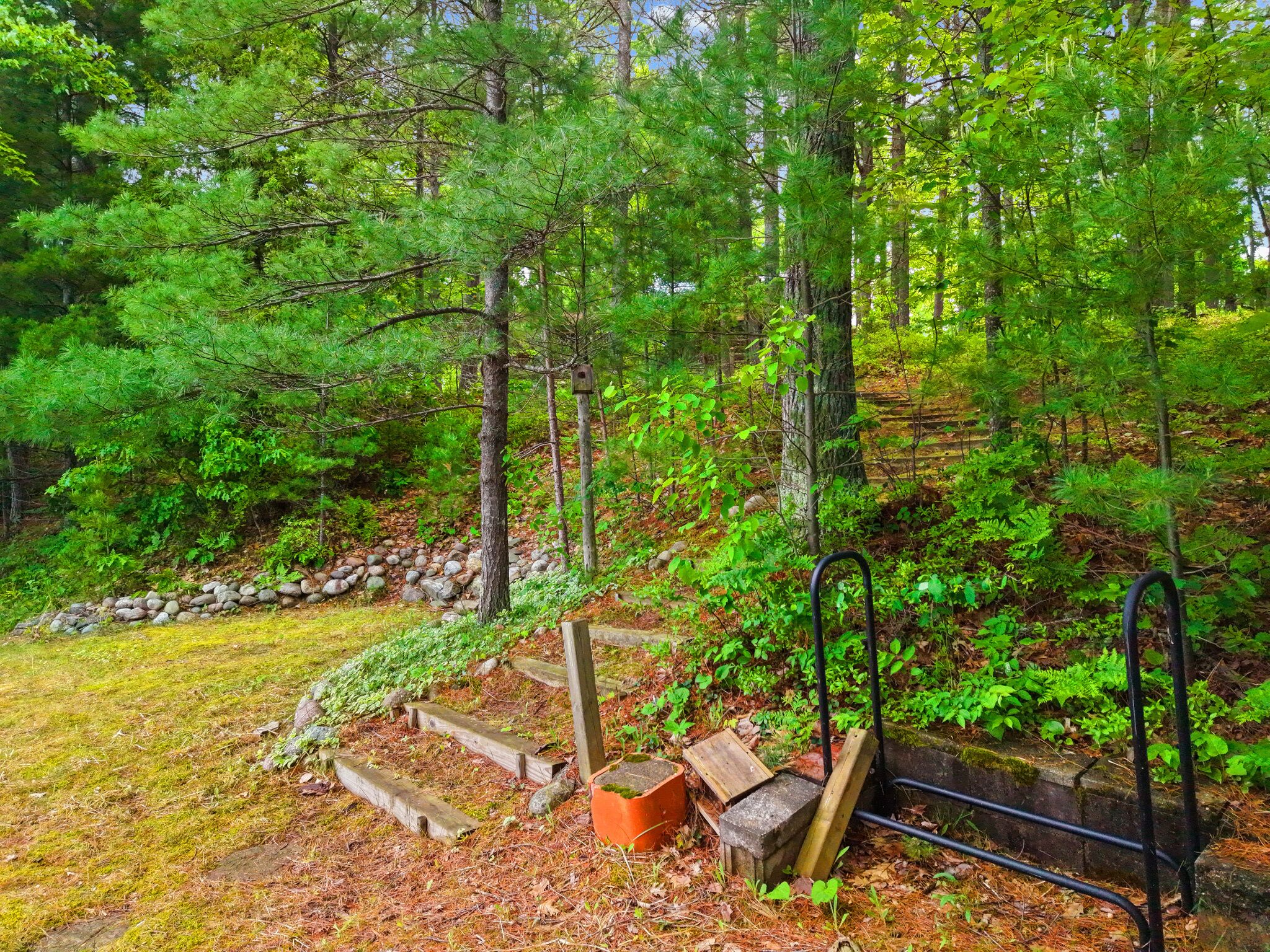 Une zone boisée avec un escalier en bois menant vers le haut, un banc en métal et une nichoir.