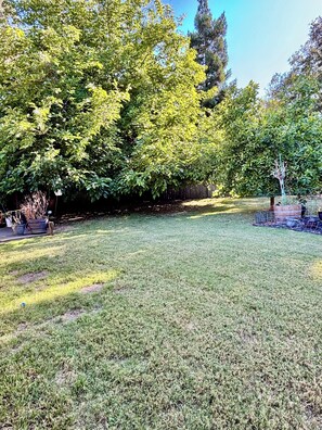 A grassy outdoor area with trees and a wooden fence. - Spacious 5BR Pet-Friendly Retreat on a 14,000 Sq Ft Lot (Stockton)