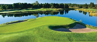 🏖️ Top-Floor Bay-View 1BR @ The Shores | Grand Traverse Resort | Sleeps 6