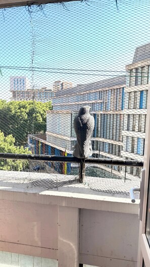 Ein Vogelkäfig mit einem Vogel darin, ein Metallgeländer und Gebäude im Hintergrund.