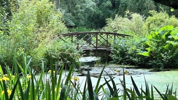 Eine Holzbrücke über einem Teich, umgeben von üppigem Grün.
