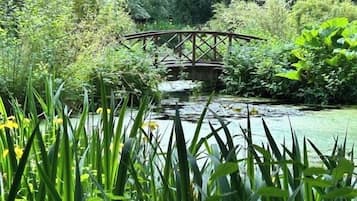 A wooden bridge over a pond surrounded by lush greenery.