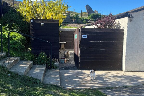 A gated area with a dog, a metal staircase, and a building with a sign.