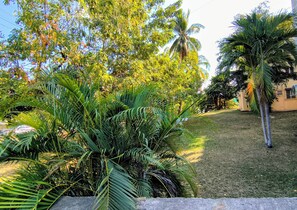 A well-maintained garden with various tropical plants and a palm tree, alongside a building with a visible air conditioning unit.