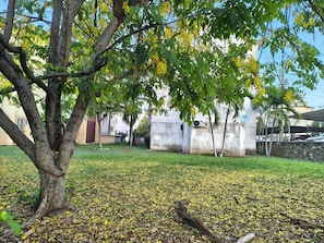 A courtyard with a tree, a grassy area, and a building with a TV antenna. - Modern Apartment with 100% Air Conditioning • King-Size Beds (Ciudad Lázaro Cárdenas)