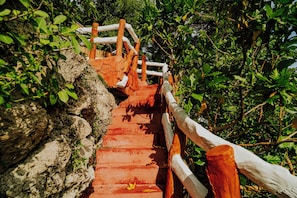 Una escalera de madera con barandilla, rodeada de follaje.