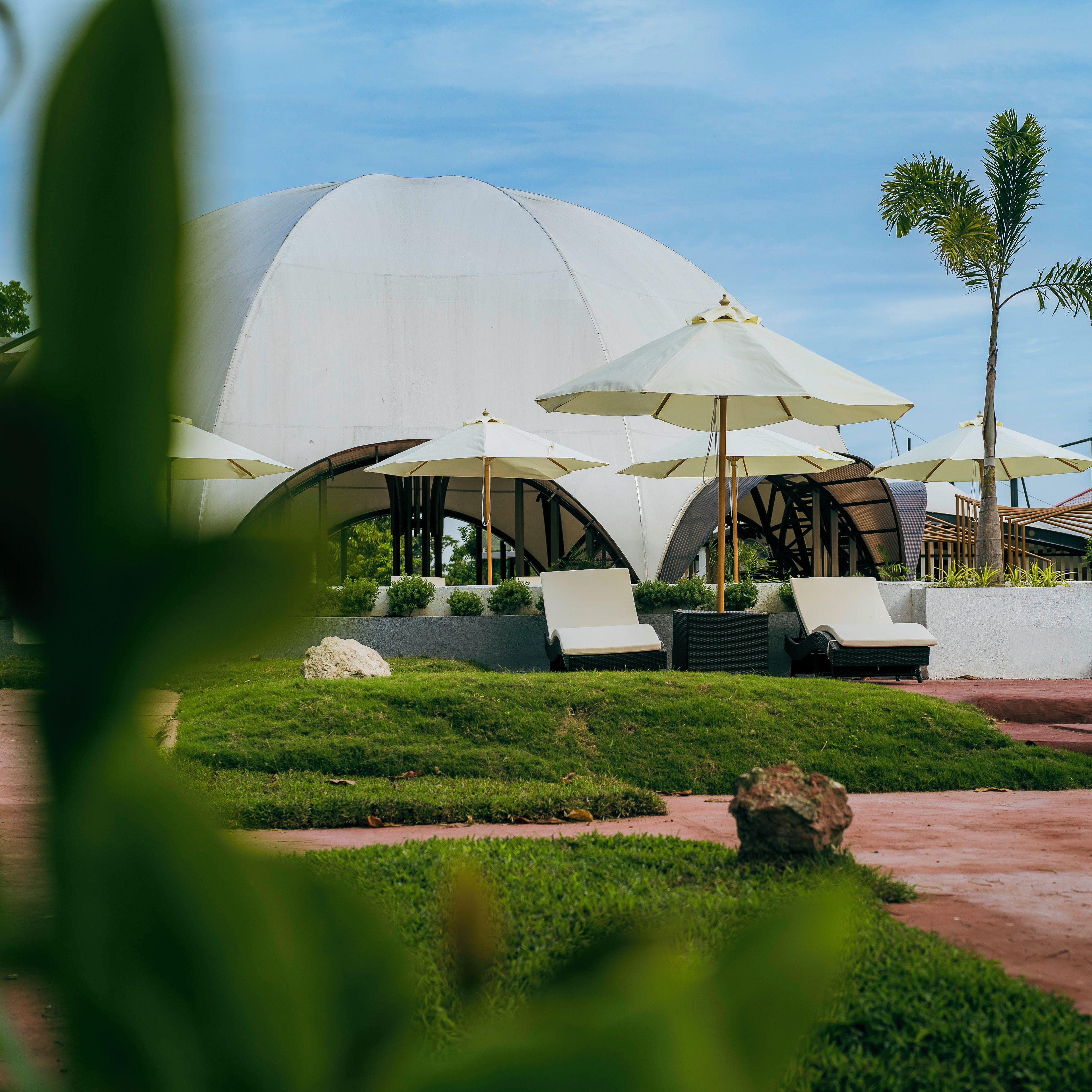A modern outdoor seating area with white umbrellas and lounge chairs, surrounded by greenery and a clear sky.