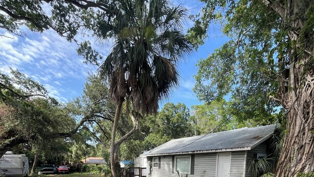 A rustic cabin with a gravel driveway, surrounded by trees and a clear sky. - Lovely 2-bedroom house with AC in Sarasota close to beaches (Sarasota)