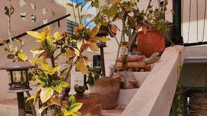 Eine Dachterrasse mit Kübelpflanzen, einer Laterne und Blick zum Himmel.