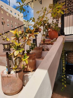 Terraço no telhado com plantas em vasos, um candeeiro e vista do céu.