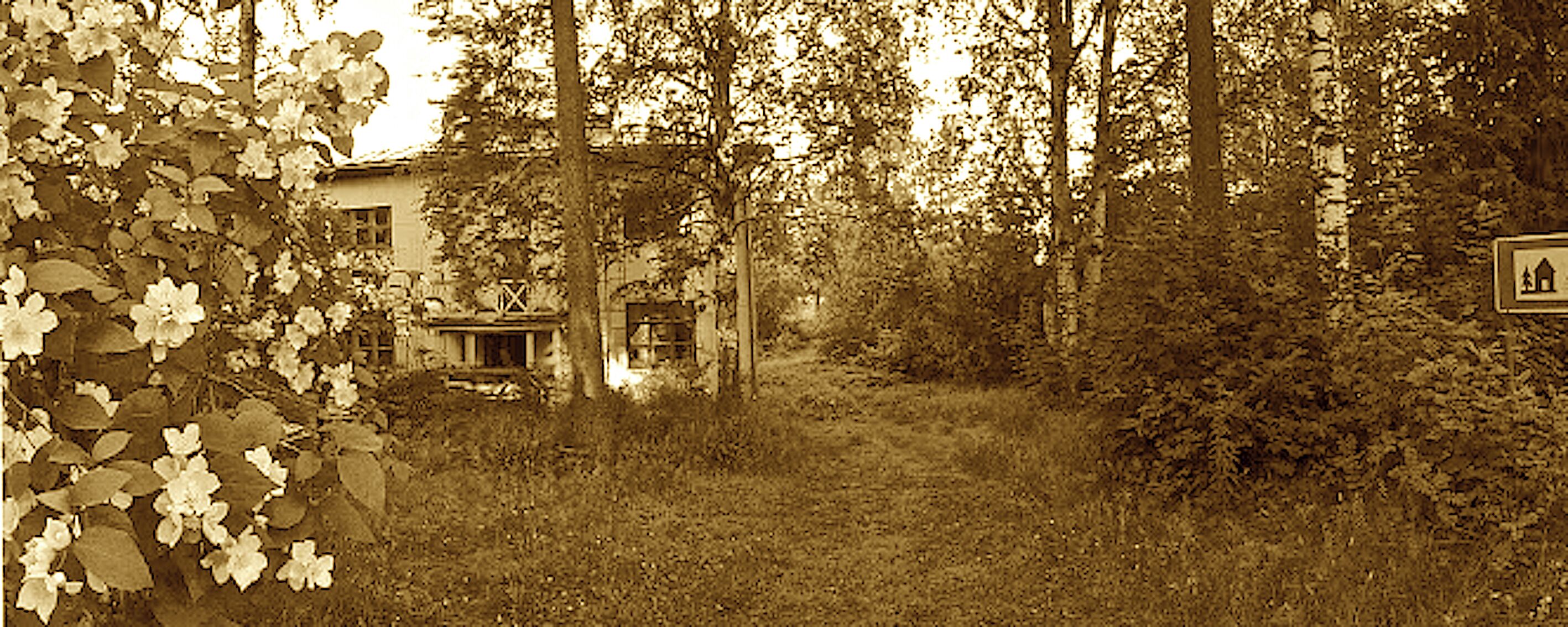 A sepia-toned forest scene with a dilapidated building, overgrown vegetation, and a sign with a house symbol.