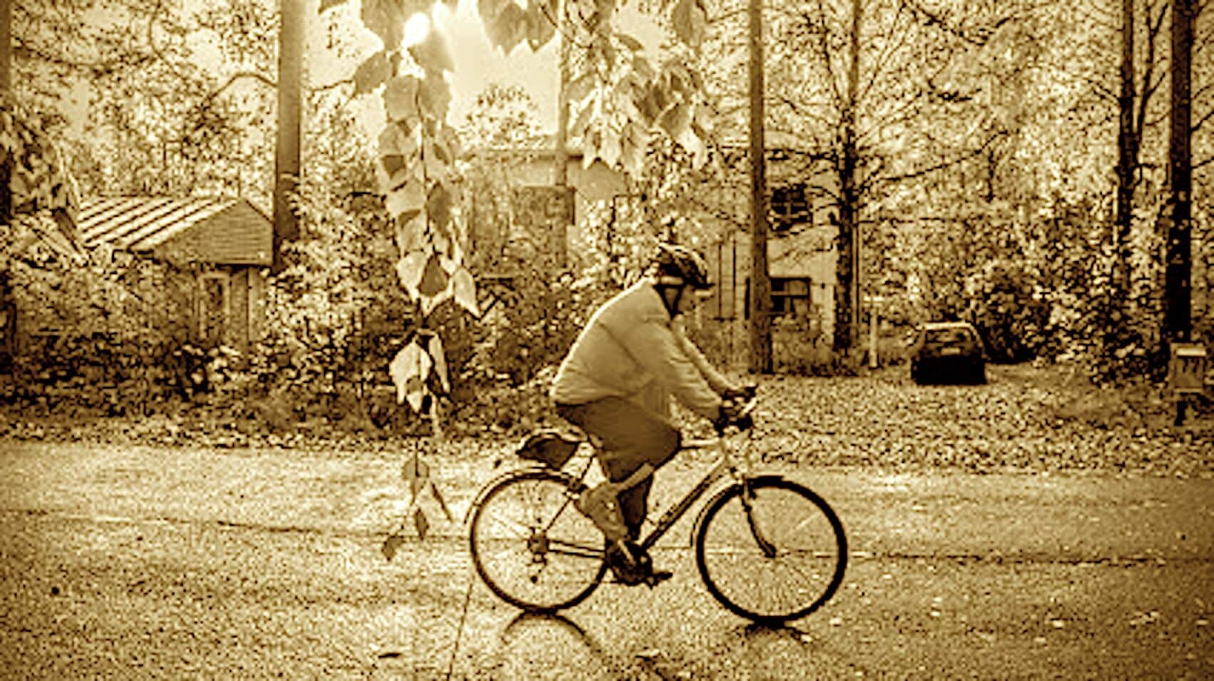 A person riding a bicycle on a road with trees and a house in the background.