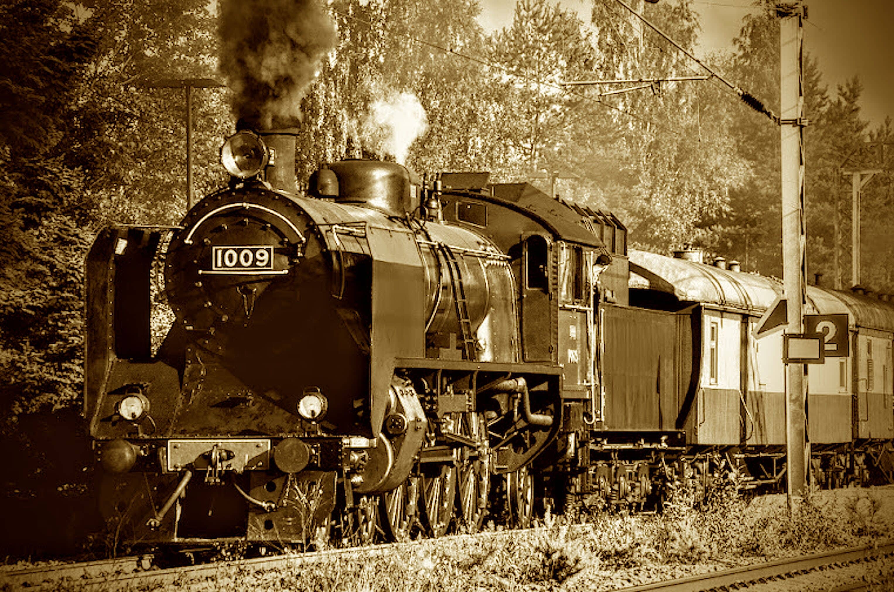 A vintage steam locomotive numbered 1009 on tracks, surrounded by trees.