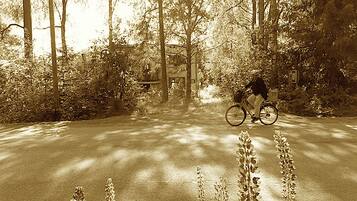 Een fietser op een weg, omringd door bomen.
