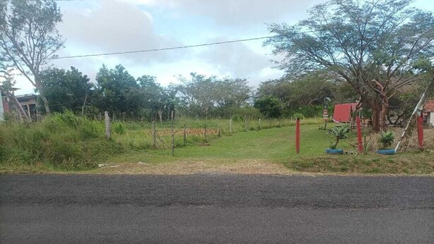 A rural road with a grassy area and trees on the side. - Zona Camping El Amanecer (Provincia de Guanacaste)