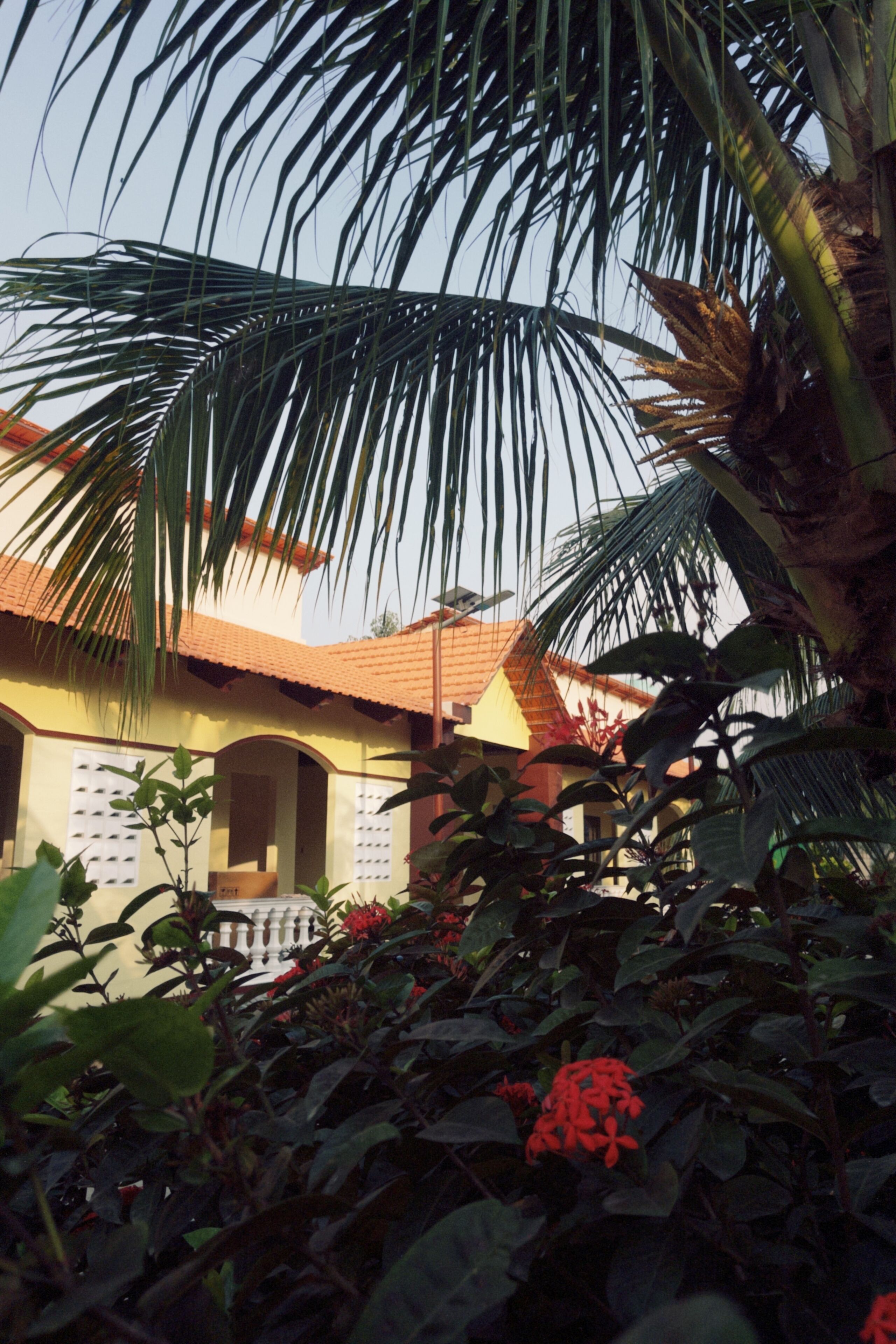 Une maison avec un toit en tuiles, entourée d’une végétation luxuriante et de plantes en fleurs.